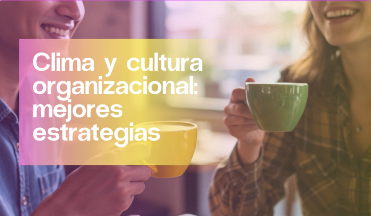 Clima y cultura organizacional: mejores estrategias | Aleluya