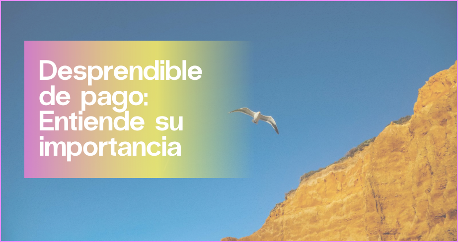 Desprendible de pago: guía detallada sin complicaciones | Aleluya