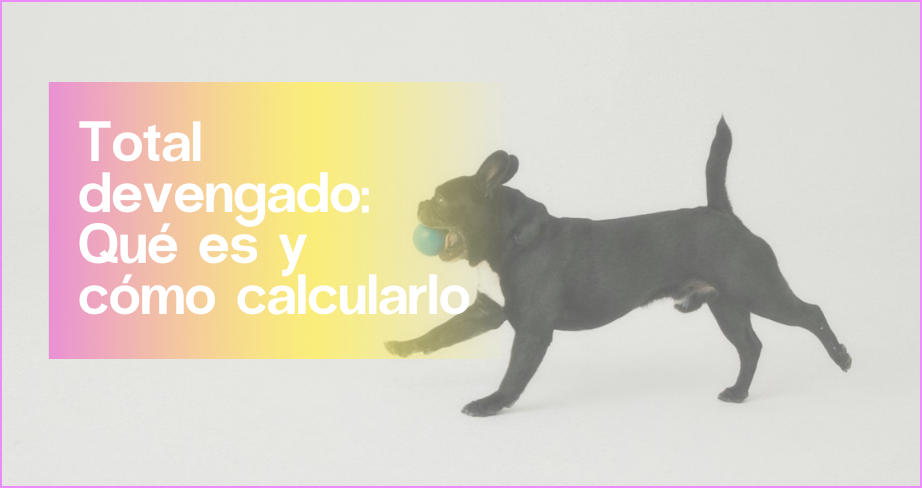 Total devengado: qué es y cómo calcularlo en 2025 | Aleluya