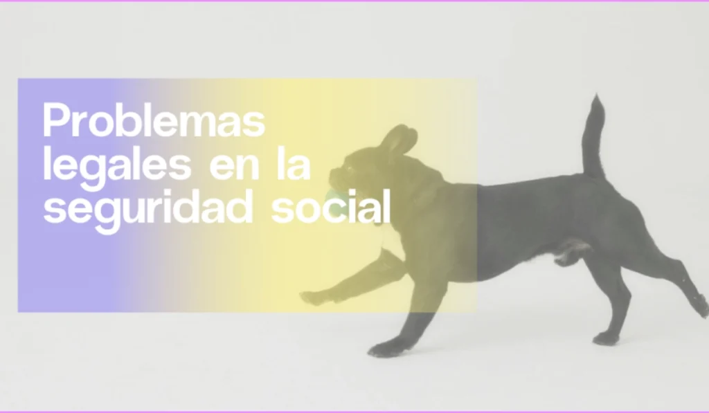 Problemas legales en la Seguridad Social